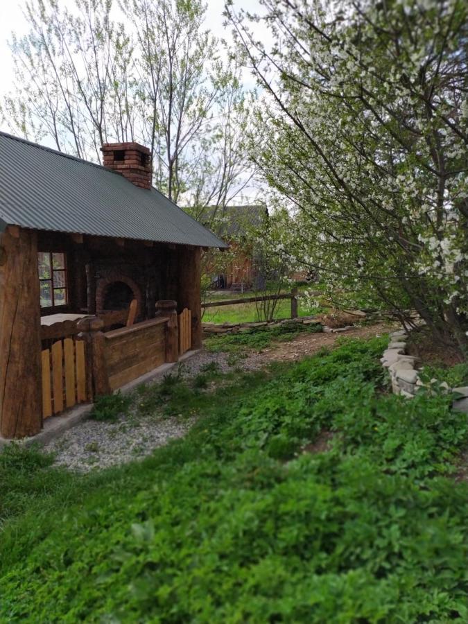 Dobryi Hutsul 2 Villa Mîkulîciîn Exterior foto
